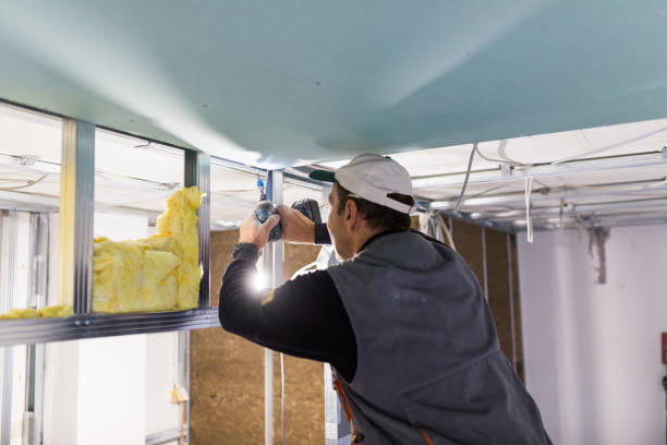 Best Soundproof Insulation  in Lyons, CO