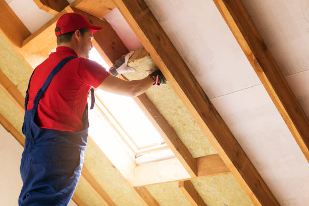 Best Basement Insulation  in Lyons, CO